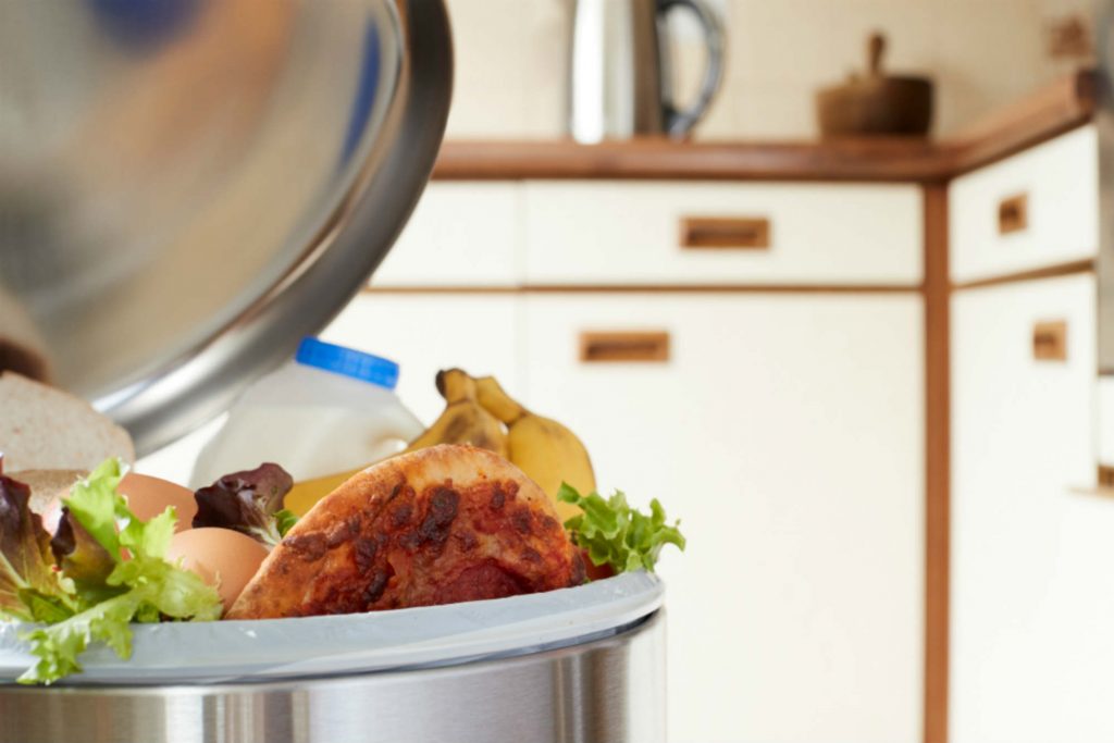 food-waste-web