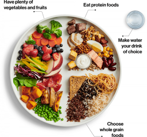 food guide