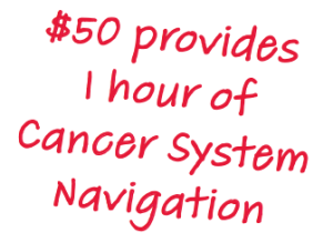 Cancer System Navigation Burst $50 provides 1 hour of Cancer System Navigation